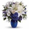 Belle en bleue Belle en bleue