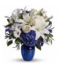 Belle en bleue